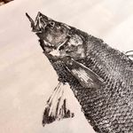 Obra Original | Robalo Flecha II