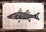 Obra Original | Robalo Flecha II