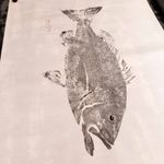 Obra Original | Red Snapper 