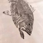 Obra Original | Red Snapper 