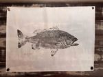 Obra Original | Red Snapper 