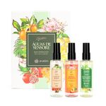 Kit Mini Águas Refrescantes - Sensore