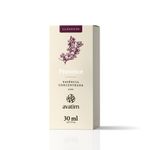 Essência Concentrada Provence 30ml