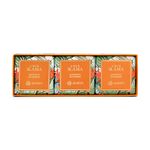 Sabonete em Barra Amir Slama 100g (Cx. com 3 unid.)