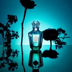Deo Colônia Amaú 100ml Relicário