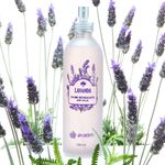 Banho Refrescante Lavanda 300ml Dia Dia