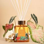 Difusor de Essências Amir Slama 250ml