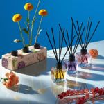 Kit Difusor de Essências Jardim Brasil