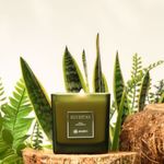 Vela Aromática Silvestre 250g