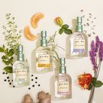 Kit Mini Águas Naturais