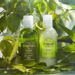 Kit Dia Dia Chá Verde & Ervas