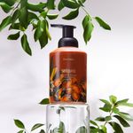 Espuma de Limpeza Mãos e Corpo Seriguela 500ml Desfrutar