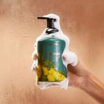 Espuma de Limpeza Mãos e Corpo Carambola 500ml Desfrutar