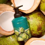 Espuma de Limpeza Mãos e Corpo Coco 500ml Desfrutar