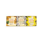 Kit Sabonete em Barra Jardim Brasil Vivace 90g (3 unid.)