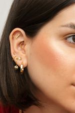 Piercing Titânio Ramo Dourado