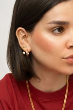 Piercing Titânio Ramo Dourado