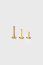 Piercing Titânio Zadie  Dourado