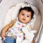 Cadeira Moisés Aconchego com Vibração e Sons Cinza (0-18kg) - Clingo