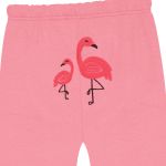 Jogo Maternidade Flamingo: Casaquinho + Body curto + Calça + Touca + Luva + Manta - Pingo Lelê