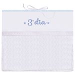 Kit Organizador 3 Saquinhos Porta Roupinhas de Maternidade Chevron Azul Bublim - Incomfral