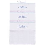 Kit Organizador 3 Saquinhos Porta Roupinhas de Maternidade Chevron Azul Bublim - Incomfral
