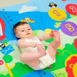 Cenário Mesversário Bichinhos - Fisher Price