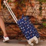 Mala com rodinhas + Bolsa Everyday Avião - Masterbag
