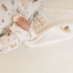 Kit com 2 toalhinhas de boca atoalhadas Xadrez Fazendinha - Mini & Co.