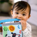 Livro e Mordedor Curious Explorers Teether Book (0m+) - Baby Einstein