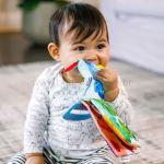 Livro e Mordedor Curious Explorers Teether Book (0m+) - Baby Einstein