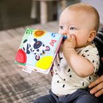 Livro e Mordedor Curious Explorers Teether Book (0m+) - Baby Einstein