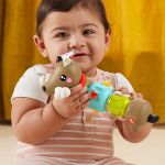 Cachorrinho Dachshund de Atividades Divertidas (6m+) - Fisher Price