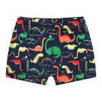 Conjunto de banho Dinossauros: Camiseta Surfista + Sunga - Tip Top