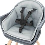 Cadeira de Refeição e Papa Moa 8 em 1 Beyond Graphite - Maxi Cosi