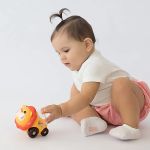 Carrinho Chocalho Leão (6m+) - Pimpolho