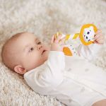 Chocalho e Mordedor Teether Rattle Leonardo (3m+) - Tiny Love