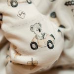 Conjunto Fofinho: Casaco c/ capuz e Calça em algodão egípcio e forro em soft Carrinhos - Mini & Co.