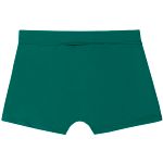 Conjunto de banho Dino: Camiseta Surfista + Sunga - Up Baby