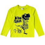 Conjunto de banho Dinos: Camiseta Surfista + Boné + Sunga - Tip Top