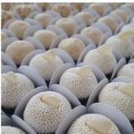 Confeito Miçanga Crocante Branca Mil Cores 500g Mavalerio