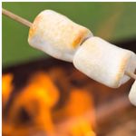 Marshmallow Para Assar 220g - Docile