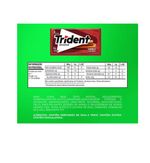 Chiclete Trident Canela Display 21 Unid 8g Cada Mondelez