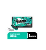 Chiclete Trident X Senses Herbal  Display 21 Unid 8g Cada