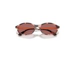 Óculos de Sol Vogue Sasha VO5625S 319969 52 - Havana Rosado