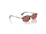 Óculos de Sol Vogue Sasha VO5625S 319969 52 - Havana Rosado
