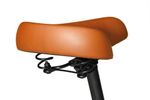 Kit Bicicleta Terral 29 BLITZ  Alumínio 21v e freios a disco + Bagageiro E Cadeado