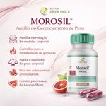 Morosil 500mg 30 Doses Original Galena