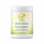 Pancreatina – Enzimas Digestivas Essenciais 250 gramas
