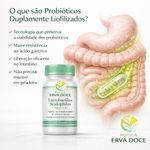 Lactobacillus Acidophilus 1 Bilhão UFC  60 Doses